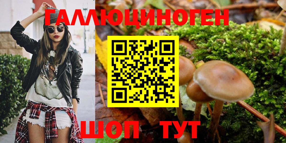 Дербент  Псилоцибиновые грибы MAGIC MUSHROOMS  Вход с VPN 