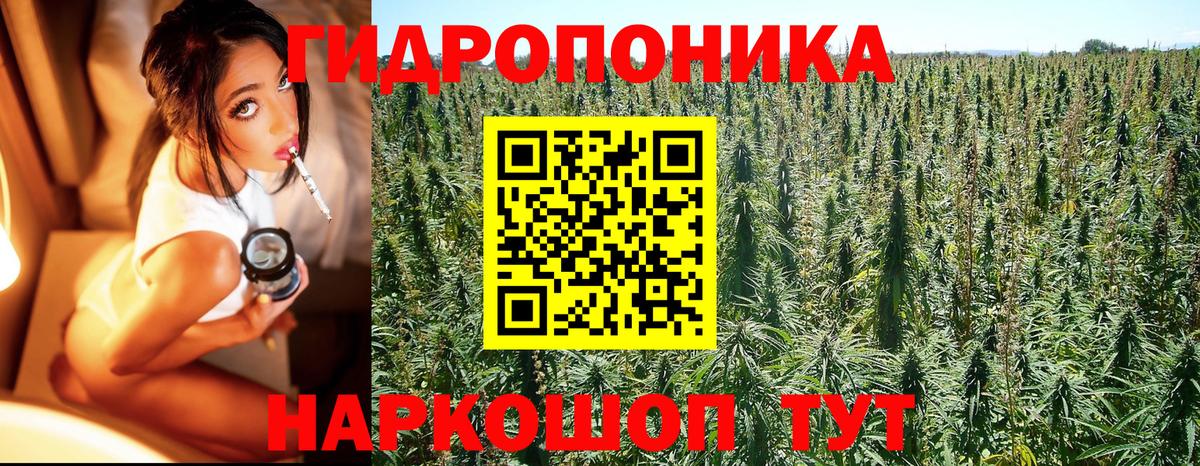 Шишки марихуана семена  Вход с VPN  Марихуана LSD WEED  Дербент 